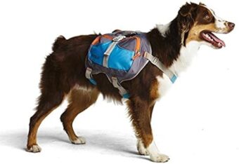 Cesar Millan Dog Backpack (Medium)