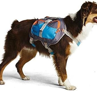 Cesar Millan Dog Backpack (Medium)