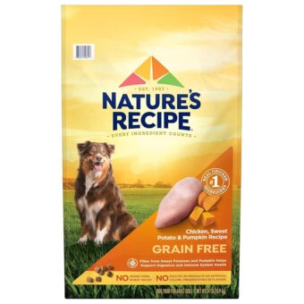 Nature’s Recipe Grain Free Chicken, Sweet Potato & Pumpkin Recipe Dry Dog Food, 24 lb. Bag