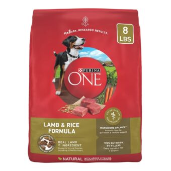 Purina ONE Dry Dog Food Lamb and Rice Formula - 8 lb. Bag