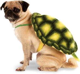 Turtle Shell Pet Backpack, Medium/Large