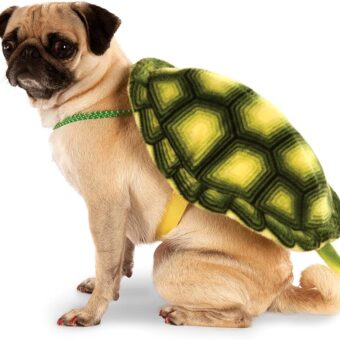 Turtle Shell Pet Backpack, Medium/Large