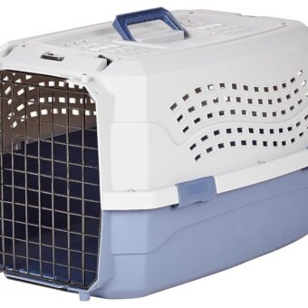 Amazon Basics - 2-Door Top-Load Hard-Sided Dogs, Cats Pet Travel Carrier, Gray & Blue, 22.8"L x 15.0"W x 13.0"H