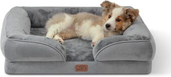 Bedsure Orthopedic Dog Bed for Medium Dogs - Waterproof Dog Sofa Beds Medium, Supportive Foam Pet Couch Bed with Removable Washable Cover, Waterproof Lining and Nonskid Bottom,...