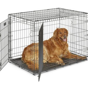 MidWest Homes for Pets Newly Enhanced Double Door iCrate Dog Crate, Includes Leak-Proof Pan, Floor Protecting Feet, Divider Panel & New Patented Features