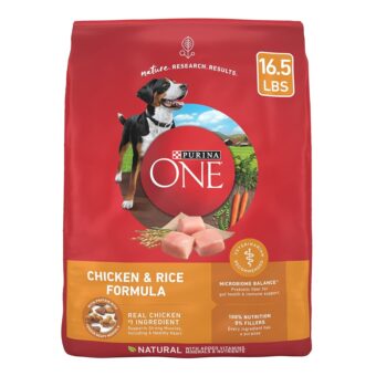 Purina ONE Chicken and Rice Formula Dry Dog Food - 16.5 lb. Bag