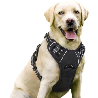 rabbitgoo Dog Harness, No-Pull Pet Harness with 2 Leash Clips, Adjustable Soft Padded Dog Vest, Reflective No-Choke Pet Oxford Vest with Easy Control Handle for Large Dogs,...