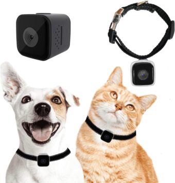 Cat Camera Collar, No WiFi Needed No APP,Cat Collar Camera with Video Record, Body Camera for Cat/Dog Recording,Camera for Cat Collar,Pet Collar Camera Outdoor, Dog/Cat Birthday...