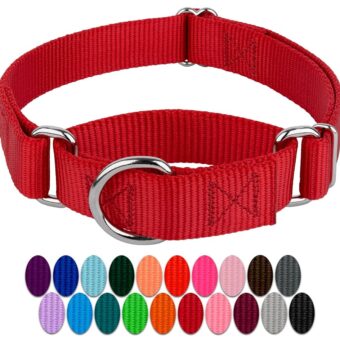 Country Brook Petz Martingale Dog Collar - Heavy-Duty Training Collar with No Buckle - Service Dog Collar for All Pups - Vibrant, Colorful Collection (Red, 1 Inch, Medium)