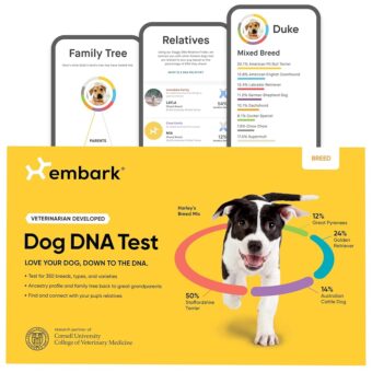 Embark Breed Identification Kit - Most Accurate Dog DNA Testing Kit - 99% Breed Ancestry Accuracy for Mixed Breed Dogs - Plus Relative Finder & Family Tree