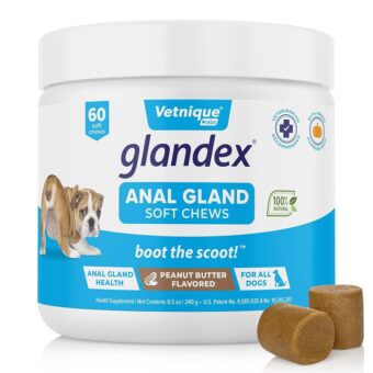 Glandex Anal Gland Soft Chew Treats with Pumpkin for Dogs Digestive Enzymes, Probiotics Fiber Supplement for Dogs Boot The Scoot (Peanut Butter Chews, 60ct)