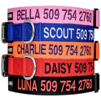 GoTags Personalized Dog Collar, Custom Embroidered with Pet Name and Phone Number in Blue, Black, Pink, Red and Orange, for Boy and Girl Dogs or Cats, Adjustable Sizes, Small,...