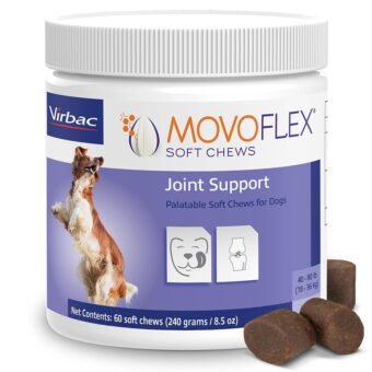 Joint Support Supplement for Dogs - Hip and Joint Support - Dog Joint Supplement - Hip and Joint Supplement Dogs - 60 Soft Chews for Medium Dogs (By Virbac)