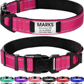 Joytale Personalized Dog Collars, Reflective Nylon Dog Collar with Engraved Name Plate, Customized for Large Dogs, Hotpink, L
