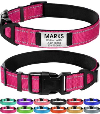 Joytale Personalized Dog Collars, Reflective Nylon Dog Collar with Engraved Name Plate, Customized for Large Dogs, Hotpink, L