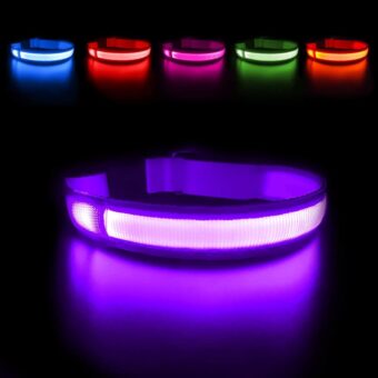 MASBRILL Light Up Dog Collars-LED Dog Collar Rechargeable Lighted Dog Collar Waterproof Night Walking Glow Collar for Dogs (M, Purple)