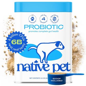 Native Pet Vet Created Probiotic Powder for Dogs Digestive Issues - Dog Probiotic Powder + Prebiotic + Bone Broth Powder - Gut Health for Dogs - 232 Gram 6 Billion CFU -...