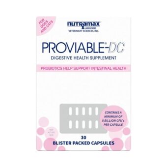 Nutramax Proviable Digestive Health Supplement Multi-Strain Probiotics and Prebiotics for Cats and Dogs - With 7 Strains of Bacteria, 30 Capsules
