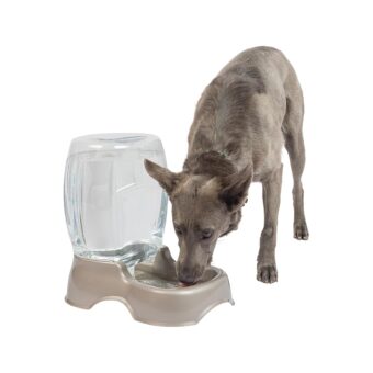 Petmate Pet Cafe Waterer Cat and Dog Water Dispenser 4 Sizes, 3 GAL, Pearl Tan, Made in USA