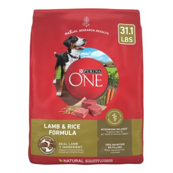 Purina ONE Dry Dog Food Lamb and Rice Formula - 31.1 lb. Bag