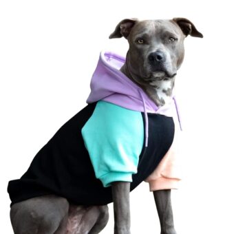 Spark Paws Dog Hoodie - Premium Quality, Buttery Soft, Superior Comfort and Fit, Calming Fleece Interior, Suitable for All Breeds - Cyber Punk - 2XL