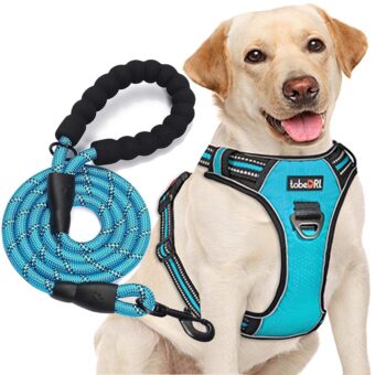 tobeDRI No Pull Dog Harness Adjustable Reflective Oxford Easy Control Medium Large Dog Harness with A Free Heavy Duty 5ft Dog Leash (L (Neck: 18"-25.5", Chest: 24.5"-33"), Blue...