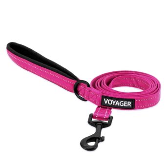 Voyager Reflective Dog Leash with Neoprene Handle, 5ft Long, Supports Small, Medium, and Large Breed Puppies, Cute and Heavy Duty for Walking, Running, and Training - Fuchsia...
