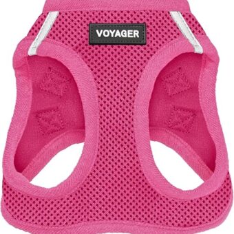 Voyager Step-in Air Dog Harness - All Weather Mesh, Reflective, No Pull Harness for Small, Medium Dogs, Cats - Secure with Hook & Loop Fastener, Buckle, Double D-Rings - Fuchsia, S