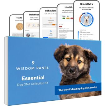 Wisdom Health Panel Essential Dog DNA Kit: Most Accurate Test for 365+ Breeds, 30 Genetic Health Conditions, 50+ Traits, Relatives, Ancestry - 1 Pack